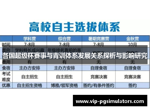 各国超级杯赛事与青训体系发展关系探析与影响研究