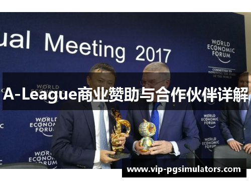 A-League商业赞助与合作伙伴详解