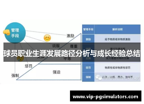 球员职业生涯发展路径分析与成长经验总结