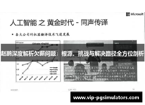 赵鹏深度解析欠薪问题：根源、挑战与解决路径全方位剖析