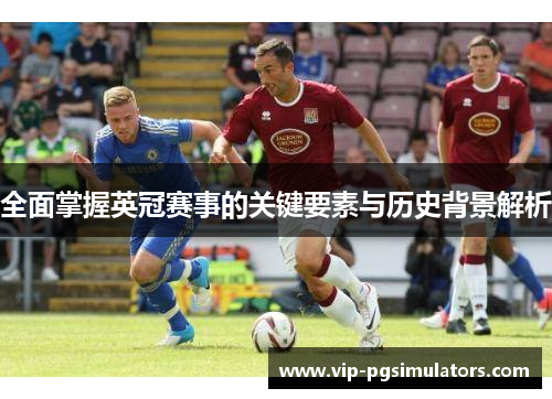 全面掌握英冠赛事的关键要素与历史背景解析
