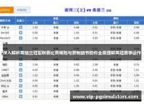 深入解析英格兰冠军联赛比赛规则与赛制细节助你全面理解英冠赛事运作