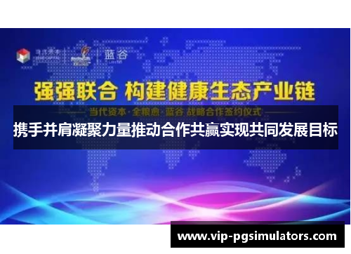 携手并肩凝聚力量推动合作共赢实现共同发展目标