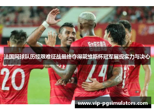 法国网球队历经艰难征战最终夺得戴维斯杯冠军展现实力与决心