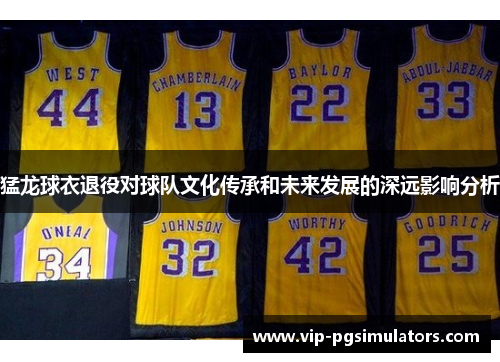 猛龙球衣退役对球队文化传承和未来发展的深远影响分析